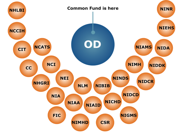 The OD circle with 'Common Fund is here' pointer and the NIH institutions and Centers around it, including 1st row: NCATS, NCI, NEI, NLM, NIBIB, NINDS, NIMN, NIAMS; 2nd row: NHLBI, NCCIH, CIT, CC, NHGRI, NIDCR, NIDDK, NIDA, NIEHS, NINR; 3rd row: FIC, NIMHD, CSR, NIGMS