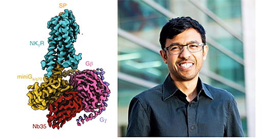 Detailed image (left) created by the research group led by Dr. Aashish Manglik (right) using cryoEM data.