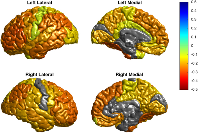 Bipolar Brain Imaging
