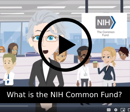 YouTube video that explains what the common fund is.