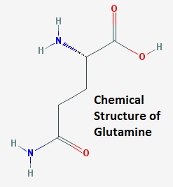 Chemical Structure of Glutamine
