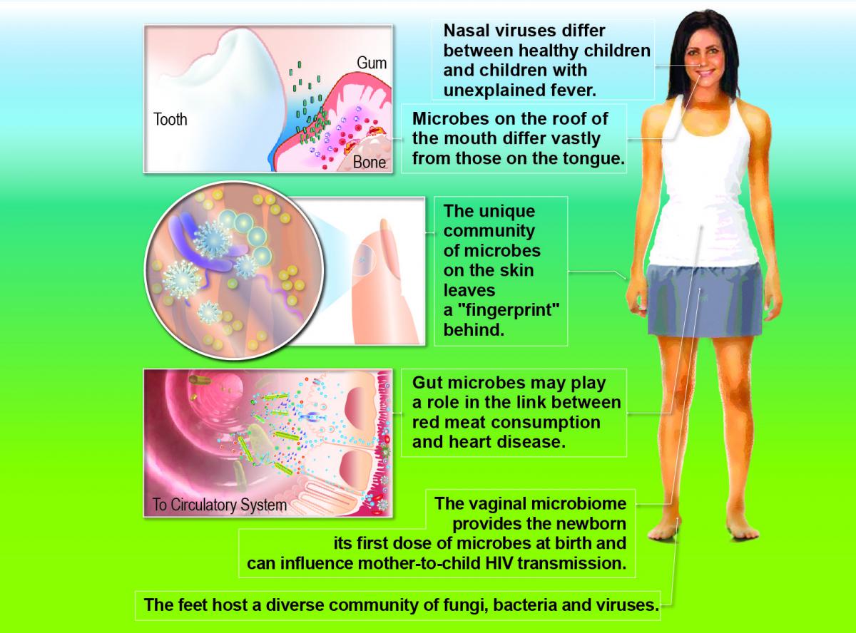 HMP Informational Graphic