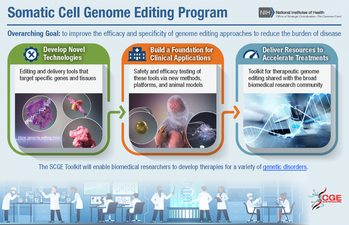 Somatic Cell Genome Editing Program Overview Infographic