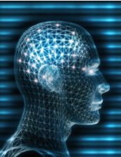Your Brain on Anesthesia Your Brain on Anesthesia