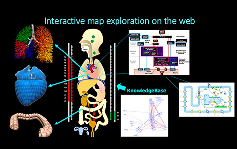 Interactive map exploration on the web.