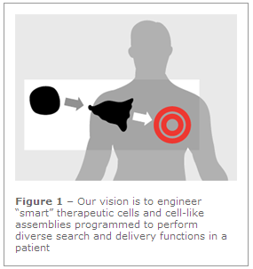 Figure 1 - Our vision is to engineer “smart” therapeutic cells and cell-like assemblies programmed to perform diverse search and delivery functions in a patient