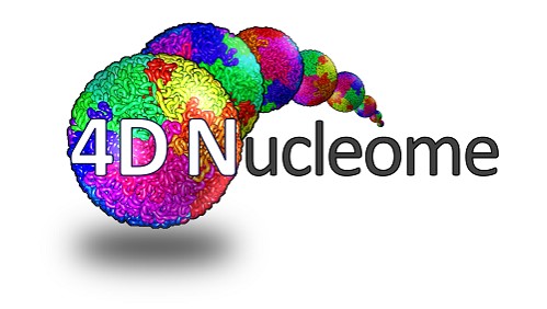 4D Nucleome (4DN) Program logo.