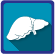 Clickable icon showing an image of the liver.