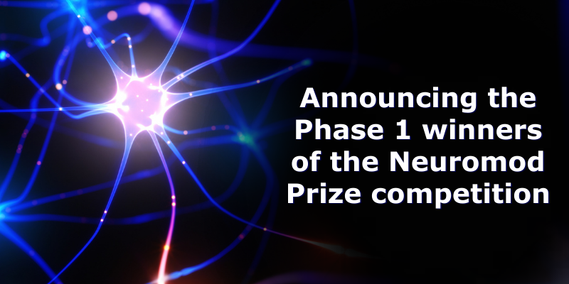 Announcing the Phase 1 winners of the Neuromod Prize competition