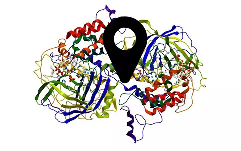 A decorative image of a protein's structure with a map marker in the center
