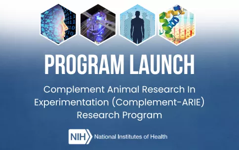 Banner showing hexagons with images that represent AI, tissue culture, informatics, and molecular science