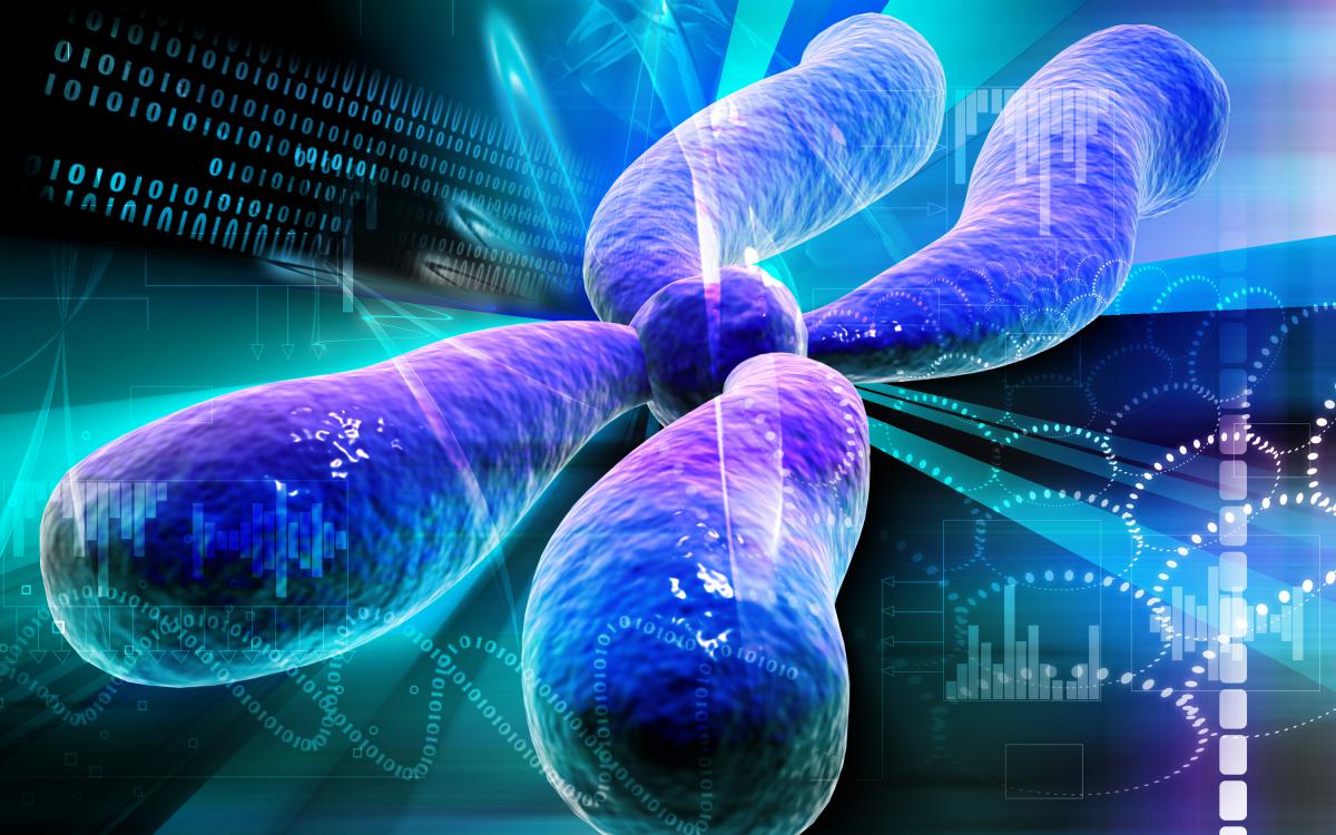 conceptual chromosome