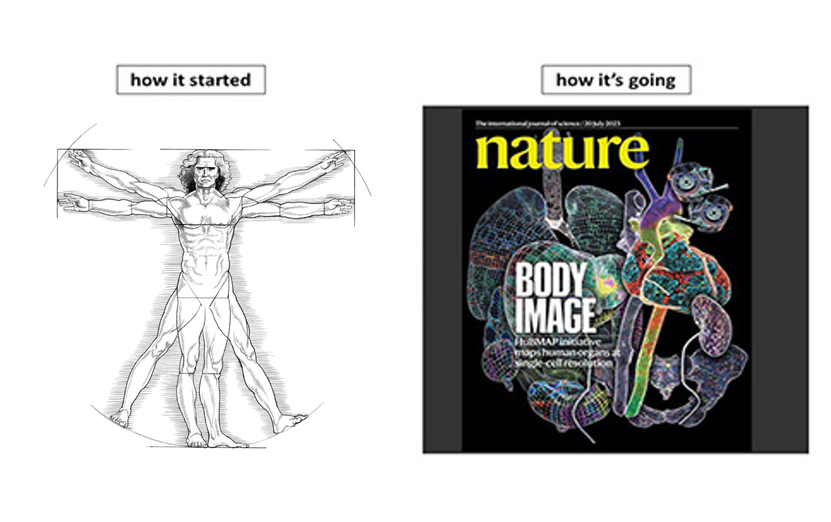 Text "How it Started" over the Vitruvian Man next to the text "How It's going" over the cover of Nature Magazine showing multicolored organs