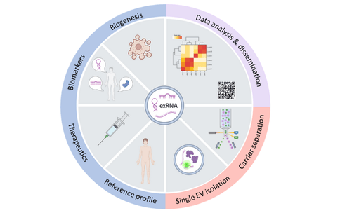 The Extracellular RNA Communication program goals focused on a number of topics related to exRNA. In Phase I, the program focused on developing reference profiles, therapeutics, biomarkers, and understanding the potential for biogenesis. Phase II then focused on single extracellular vesicle isolation and carrier separation. Phase I and II both included data analysis and dissemination goals.   