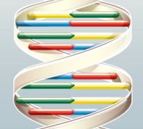 DNA helix