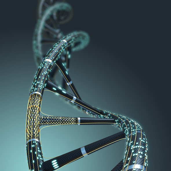 Artificial DNA molecule