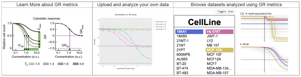 Image with graphs and charts from GR calculator