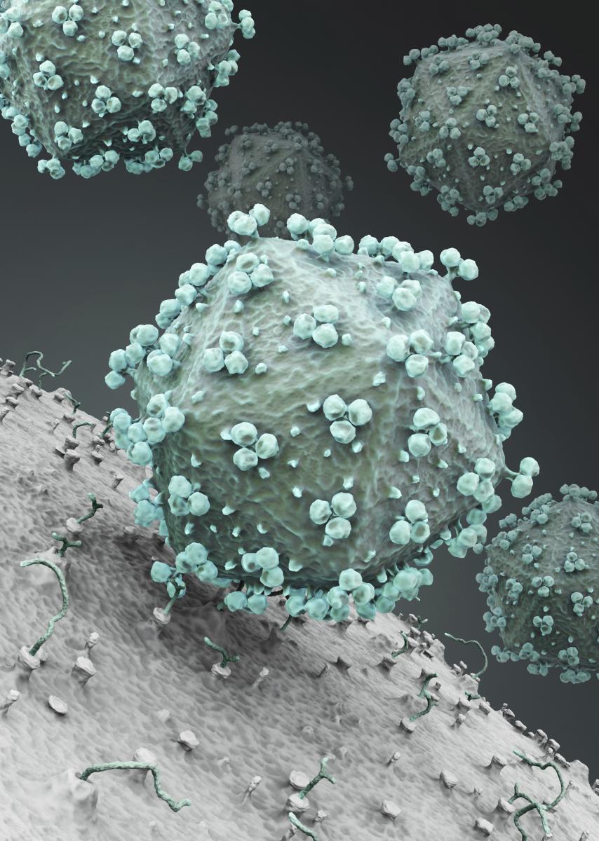 HIV Virus