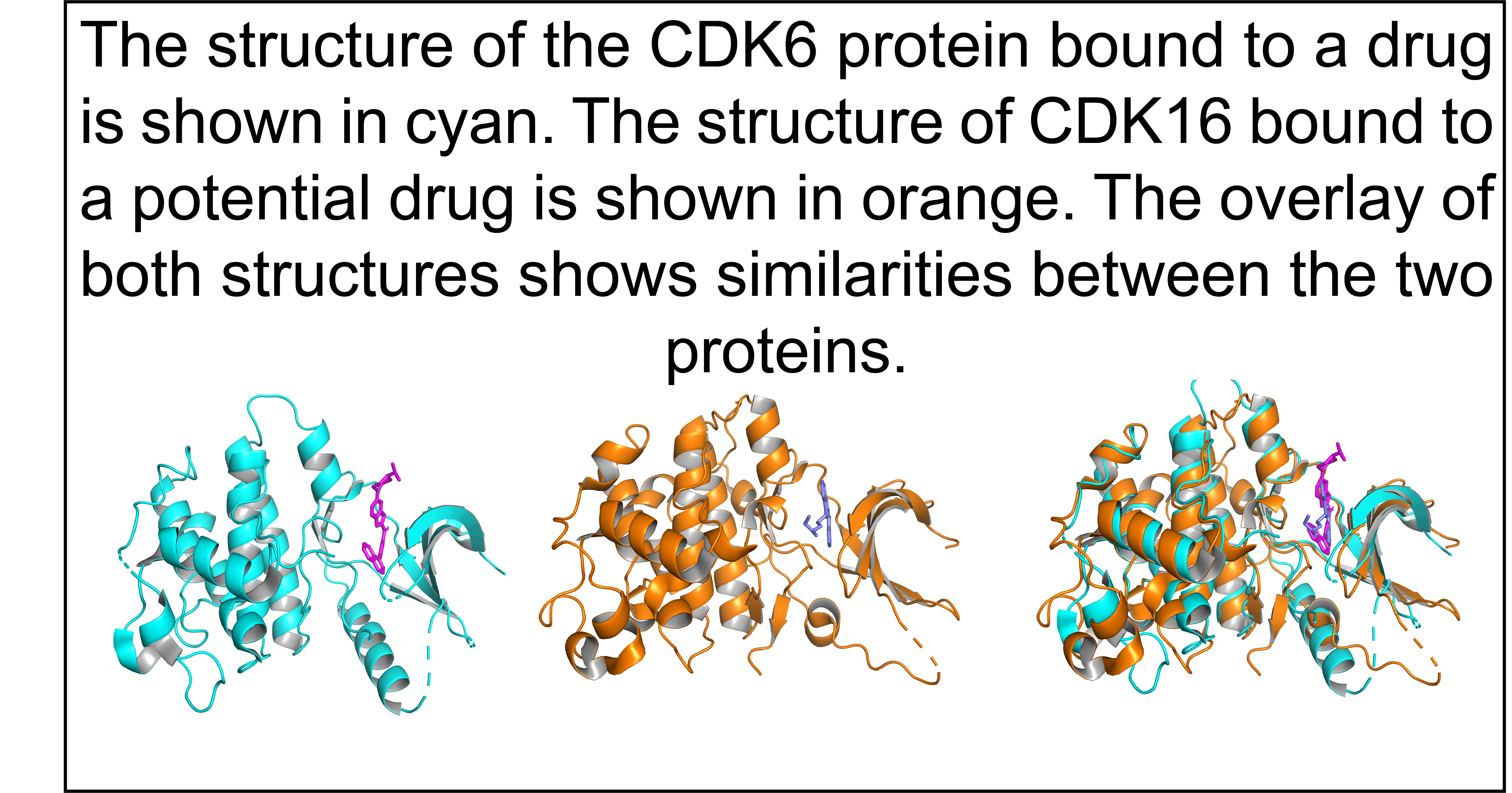 Image of two proteins bound to drugs. A third panel shows an overlay of both protein structures. This is to show how the IDG program can use information from previous studies to better our understanding of understudied protein function