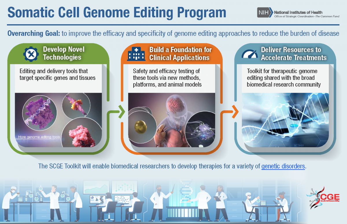 Somatic Cell Genome Editing (SCGE) | NIH Common Fund