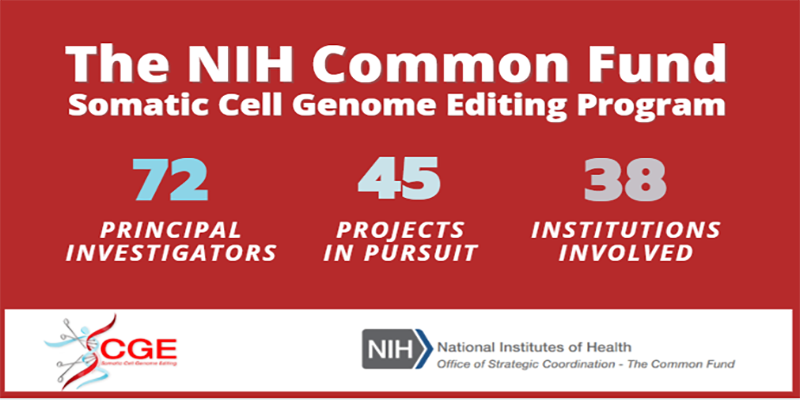 Somatic Cell Genome Editing Consortium