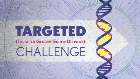 TARGETED CHALLENGE (Targeted Genome Editor Delivery)