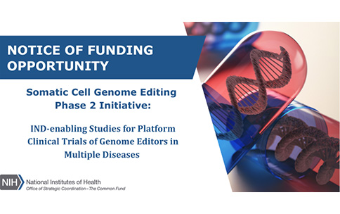 Notice of Funding Opportunities for Somatic Cell Genome Editing, Phase II. IND-enabling Studies for Platform Clinical Trials of Genome Editors in Multiple Diseases.