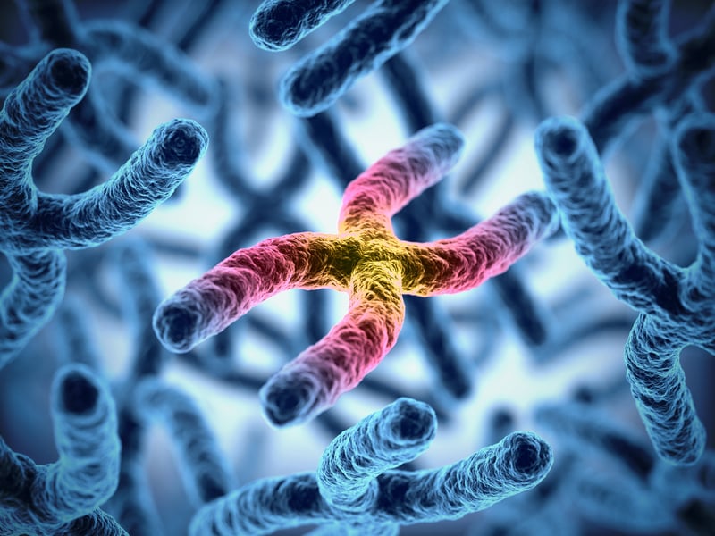 4D Nucleome - Program Highlights | NIH Common Fund