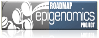 Epigenomics Browser