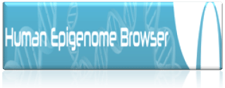 Human Epigenome Browser
