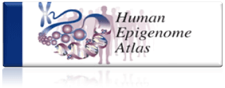 Human Epigenome Atlas