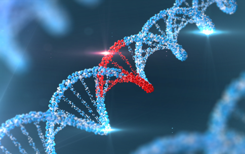 Blue DNA helix with one section highlighted in red on a dark background