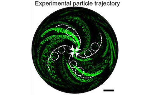 Separating Vesicles: Use the Acoustic Fluidics Force