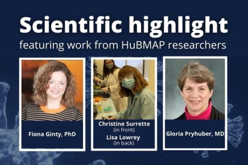 Scientific Highlight featuring from HuBMAP researchers: Fiona Ginty, PhD; Christina Surrette (in front) and Lisa Lowrei (in back); Gloria Pryhuber, MD.