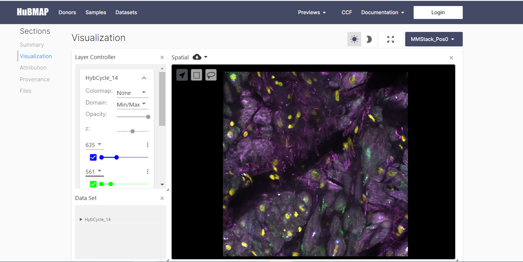 SeqFISH image of a piece of a heart tissue from CalTech Tissue Mapping Center using Vitessce visualization software.