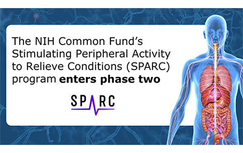 The NIH Common Fund's Stimulating Peripheral Activity to Relieve Conditions (SPARC) program enters phase two.