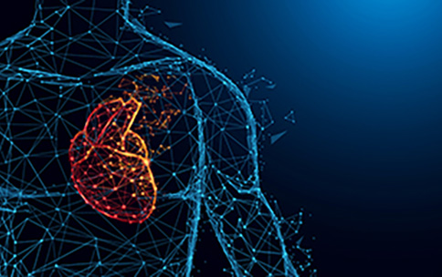 A Change of Heart? Uncovering Sex Differences in Cardiac Neurochemistry.