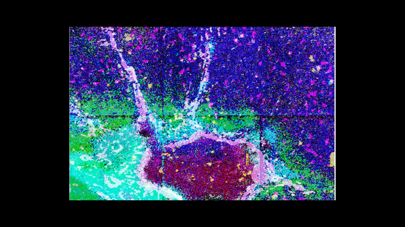 Integrated multiomics data from Imaging Mass Spec experiments from the liver, courtesy of Drs. Hua Tian (Penn State) and Brent Stockwell (Columbia University)