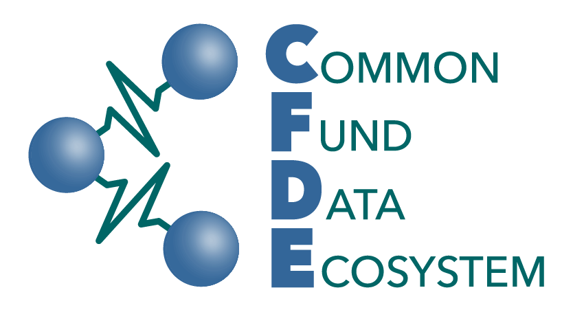 CFDE program logo.