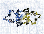 Slowing Cancer Cells: New Findings Increase Molecular Understanding of Tumor Growth Slowing Cancer Cells: New Findings Increase Molecular Understanding of Tumor Growth