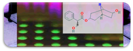 PubChem Substance