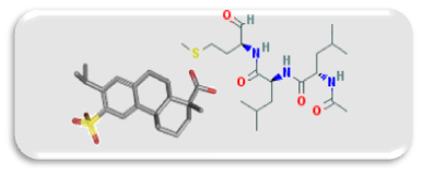 PubChem Compound