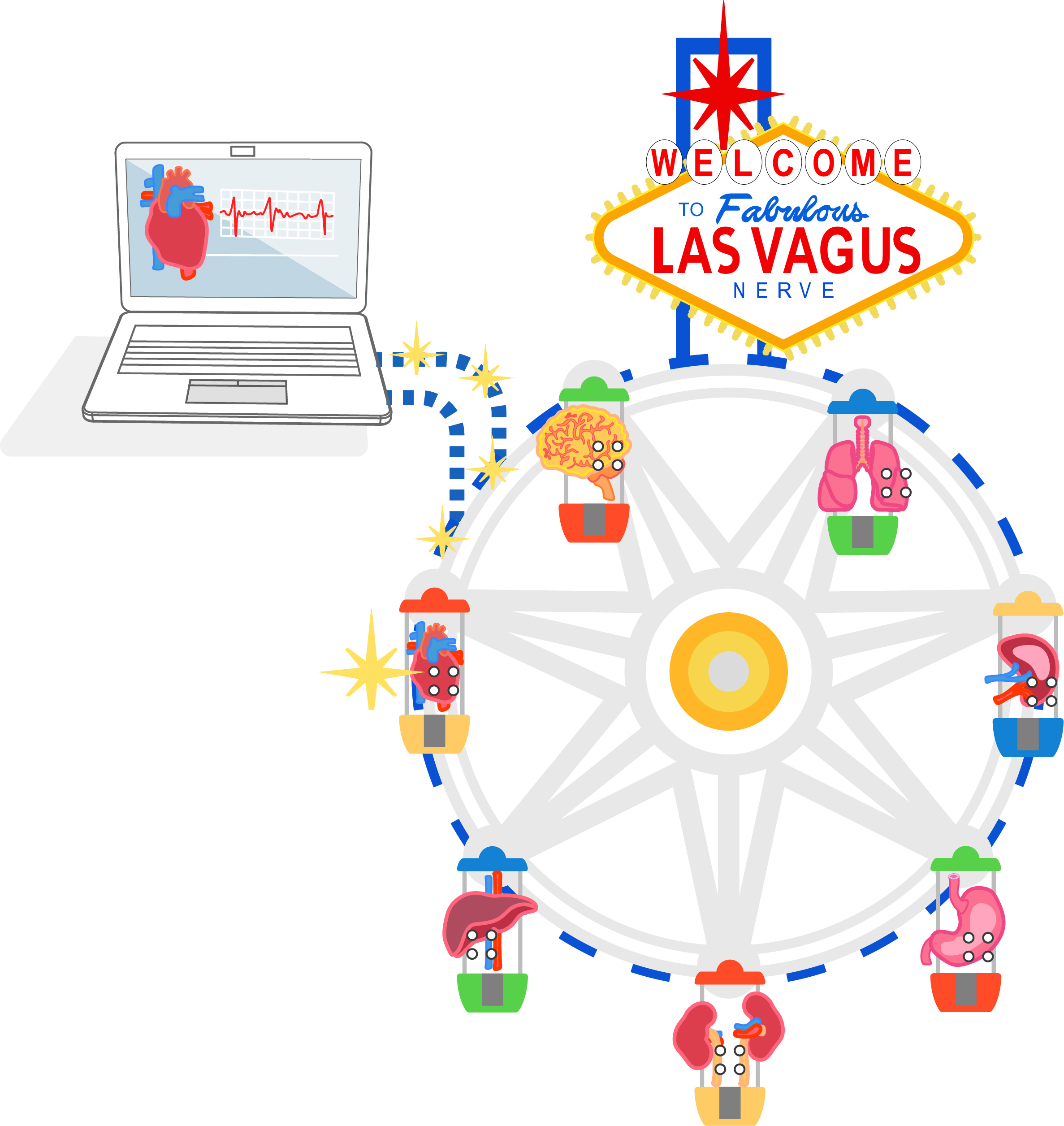 What happens in Vagus?