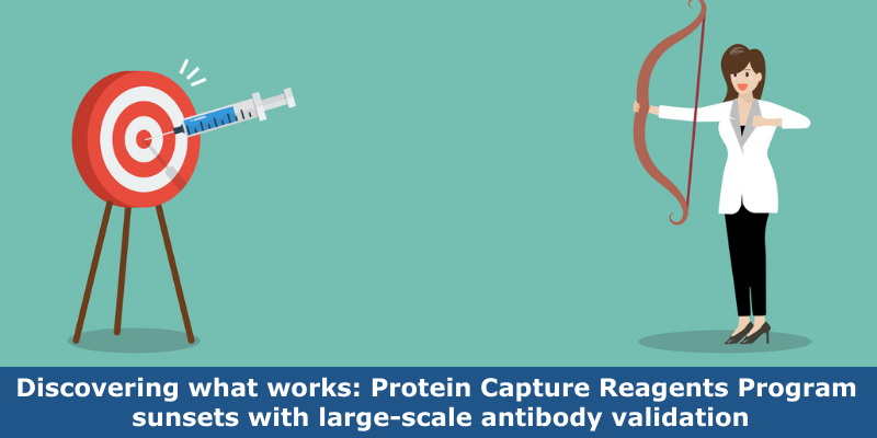 Discovering what works: Protein Capture Reagents Program sunsets with large-scale antibody validation