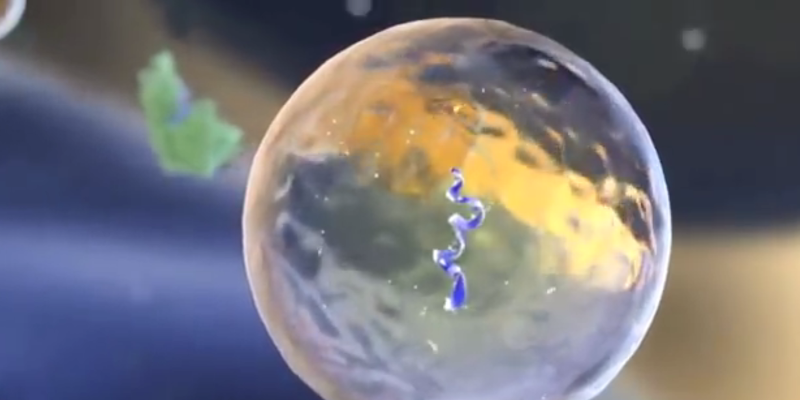 New Study Offers Promise for the Safety of RNA Therapeutics