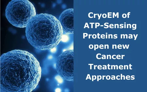 Blue cells floating against a blue, white, and black background. A blue box on the right has white text that reads "CryoEM of ATP-Sensing Proteins may open new Cancer Treatment Approaches"
