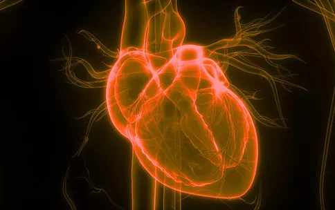Image credit: Getty images