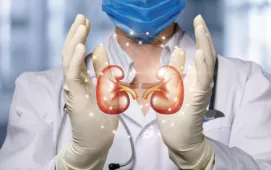 A doctor in a white lab coat and blue surgical face mask holds up their gloved hands. Between the hands is a graphic of two kidneys surrounded by a white glowing network.