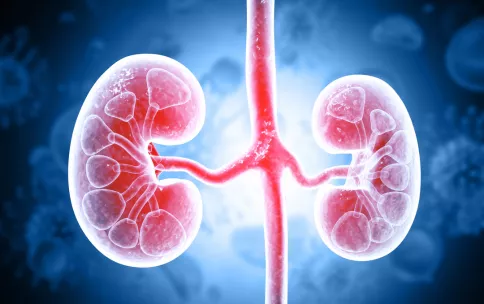 Image showing two kidneys.