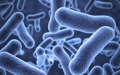 Blue bacteria floating on a dark background